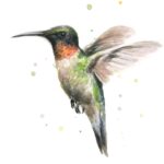 печать на футболках